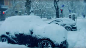 Bologna in white